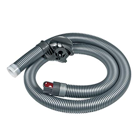 Dyson Imuletku DC22